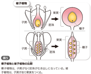 キャプチャ３.png